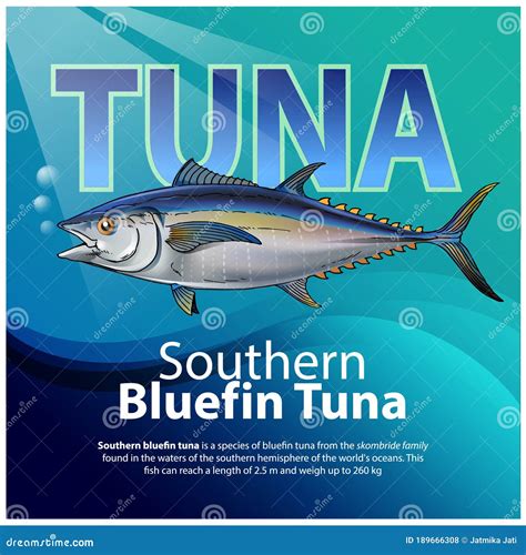 Bluefin Tuna Stock Vector Illustration Of Bluefin Nature 189666308