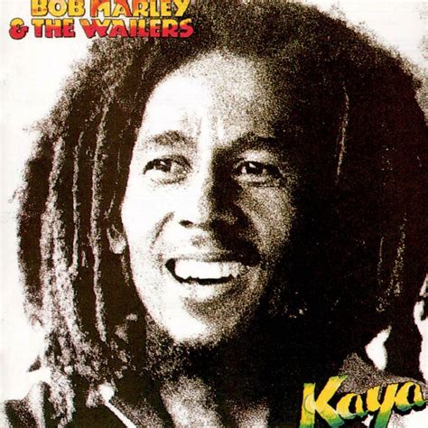 Discografia De Bob Marley 24 Cds