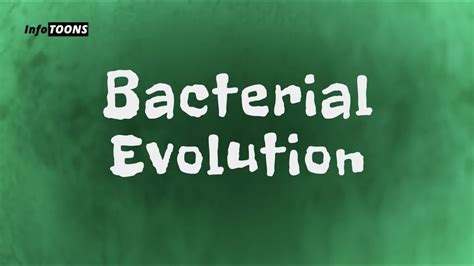 Bacterial Evolution Youtube