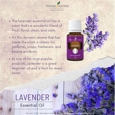 Lavender Essential Oil By Young Living In 2024 Lavender Essential Oil