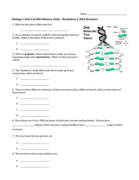 Dna The Secret Of Life Worksheet Answers