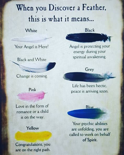 Light as a feather | Feather meaning, Feather color meaning, White feather meaning