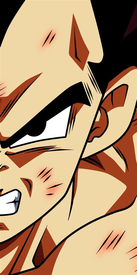 Download Wallpaper 1080x2160 Angry Boy Anime Dragon Ball Super Goku