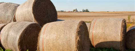 4.5 out of 5 stars. Hay for Sale | AllHay.com