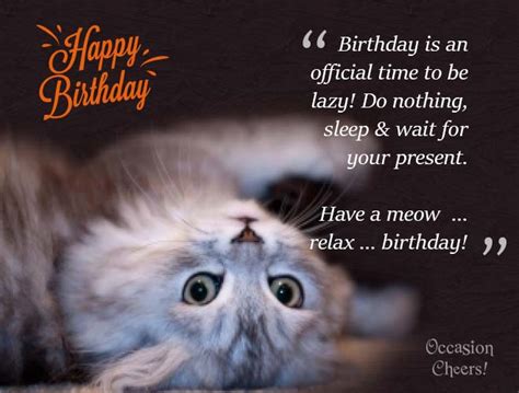 Cute Animals Birthday Wishes For Your Facebook Friends Birthday Party