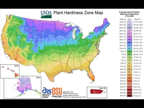 Usda Plant Hardiness Zone Map Permaculture Pinterest Permaculture