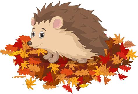 Cute Hedgehog Cartoon On Autumn Leaves 4991814 Vector Art At Vecteezy
