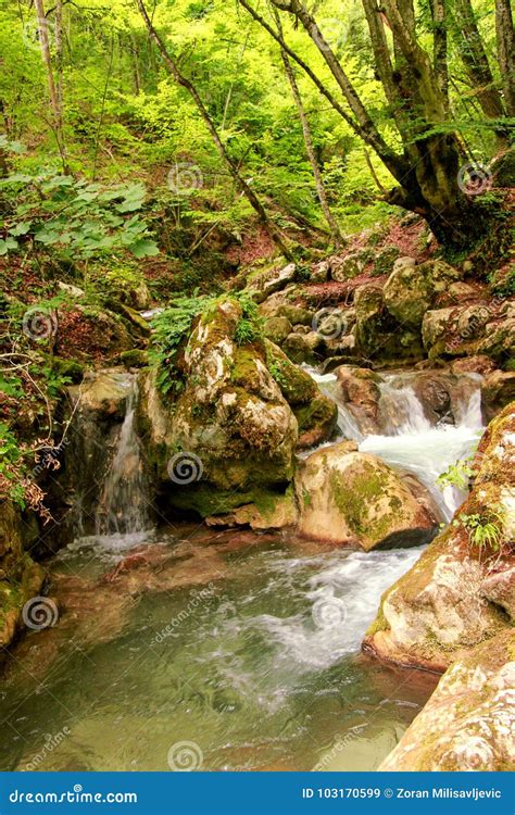 Small River Stream Waterfall In The Forest Natural Environment Stock