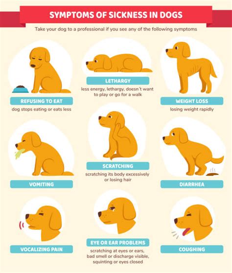 What Makes A Puppy Sick