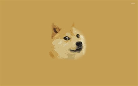Doge Meme Wallpaper For Pc Doge Meme Wallpaper 85 Images Anjing