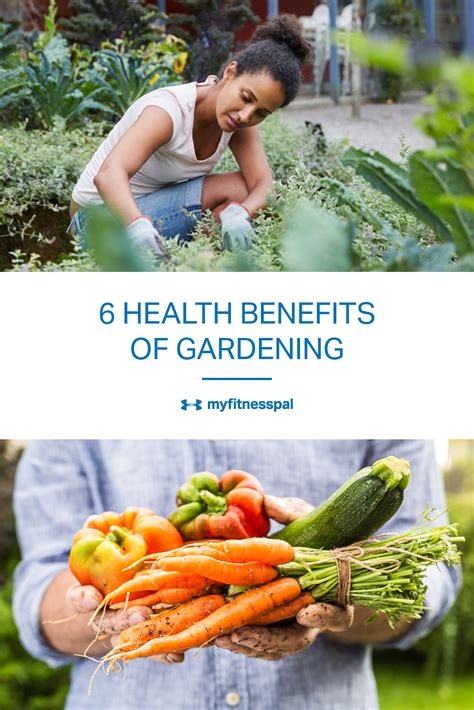 Some for those who enjoy being indoors and the third benefit of gardening is exercise. 6 Health Benefits of Gardening | Fitness | MyFitnessPal ...