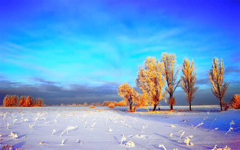 Winter Wallpapers Scenes Wallpaper Cave