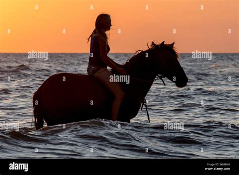 Reiterinweibliche Pferd Reiter Reiten Ohne Sattel Im Flachen Wasser Bei Sonnenuntergang Im