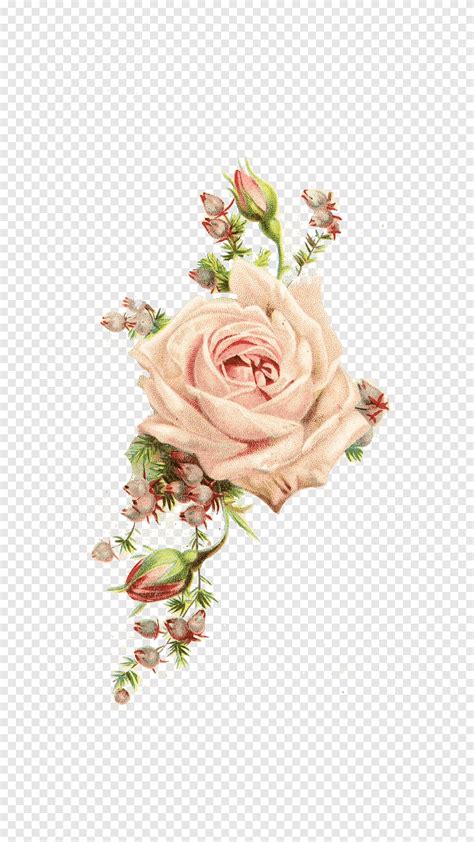 Vintage Bouquets Clipart Pink Roses Shabby Chic Clip