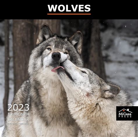 Micasa Wolves 2023 Hangable Monthly Wall Calendar 12 X