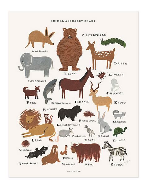 Animal Alphabet Chart Print By Little Baby Company