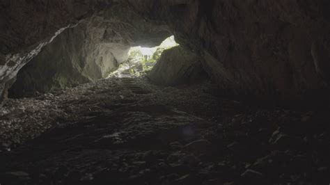 Entrance In Cave Stock Footage Sbv 329943947 Storyblocks