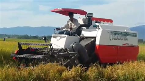 Amazing Rice Harvester In Philippines Youtube