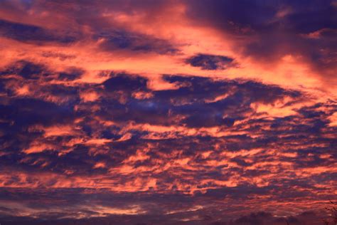 무료 이미지 수평선 구름 태양 해돋이 일몰 햇빛 새벽 분위기 황혼 적운 잔광 저녁 하늘 기상 현상