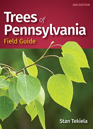 trees of pennsylvania field guide tree identification guides