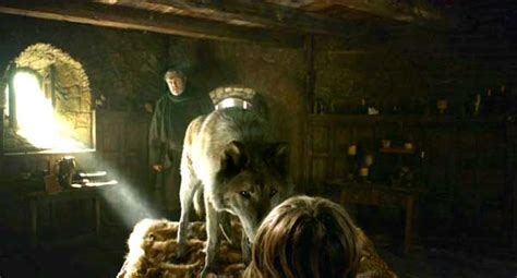 bran stark the broken wolf