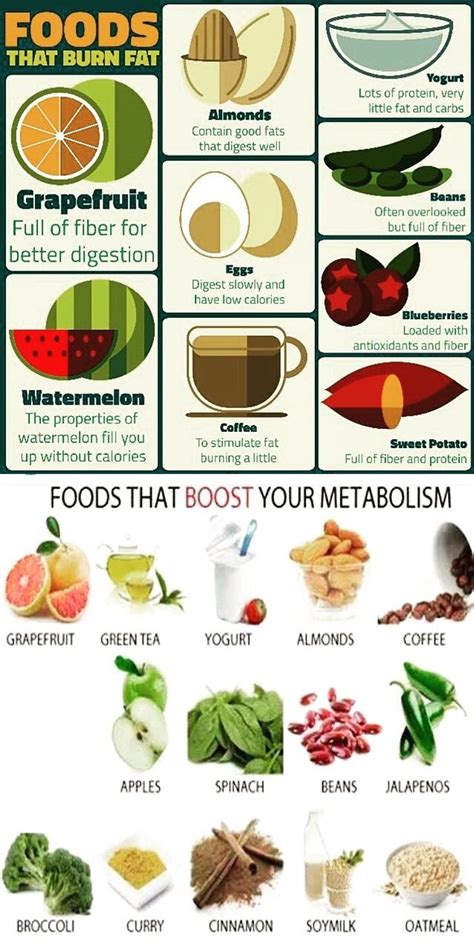 You know when exercise experts say, 'take the stairs, not the lift'. Foods That Burn Fat And Boost Your Metabolism Pictures ...