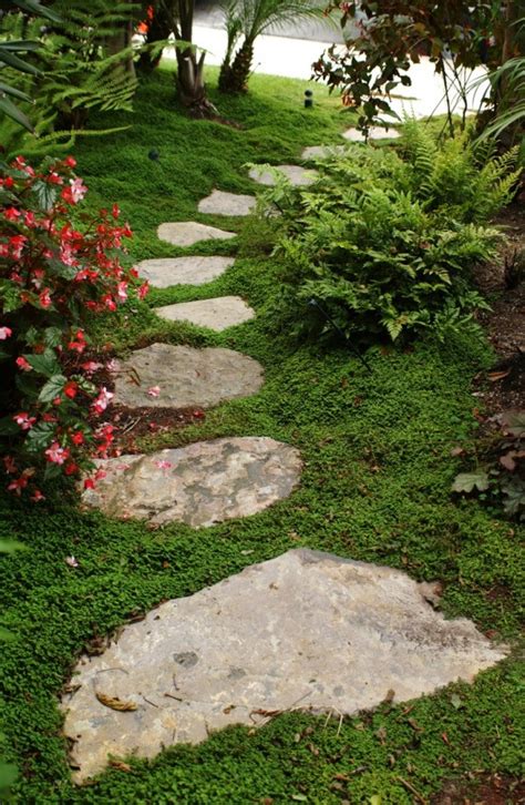 Growing Ground Cover Between Stones And Bricks Thriftyfun