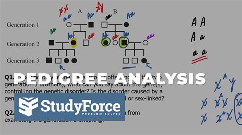 Analysis Of Pedigrees Genetics Youtube