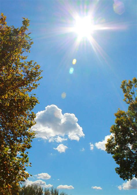 Blue Skies Sky Sunshine Sun Free Photo On Pixabay