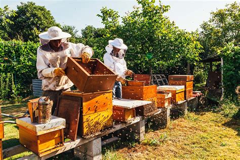 Beekeeping Bootcamp Bee Well Honey Farm
