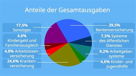 Prinzipien Der Sozialversicherung • Grundprinzipien · Mit Video