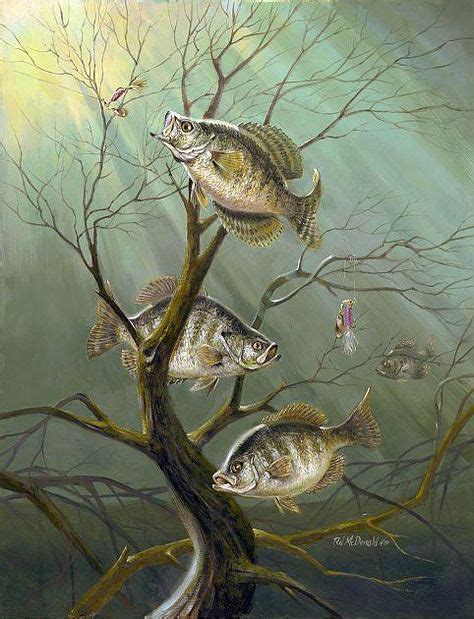 Rjmcdonald Crappie Haven Fishing Art Print Animaux Et Poisson