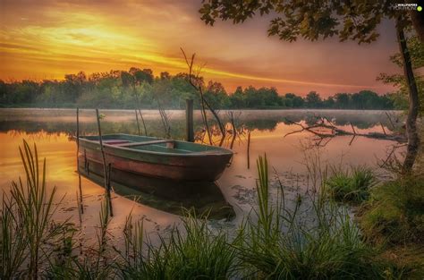 Trees Viewes Sunrise Boat Lake For Phone Wallpapers 2048x1353
