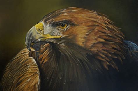 Golden Eagle Painting At Explore Collection Of