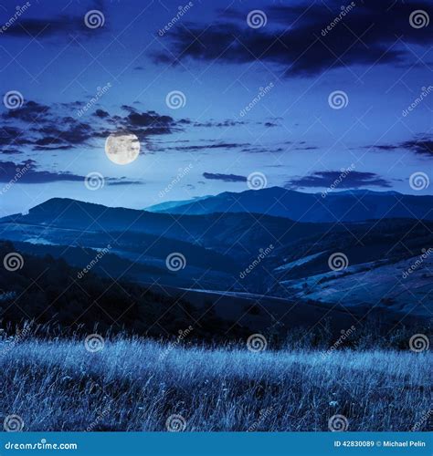 Village On Hillside Meadow With Forest In Mountain At Night Stock Image