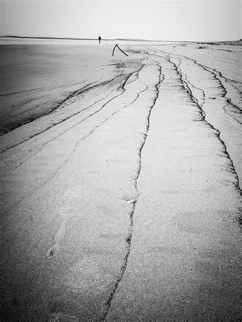 Lines In The Sand Photograph By Dena Cellini Fine Art America