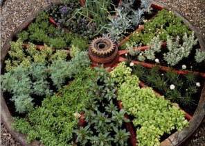 Below are some ideas that can hel. herb garden | Herb garden design, Backyard herb garden ...