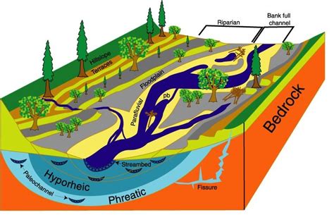 3 D Structure Of A Riverine Floodplain Emphasizing Dynamic