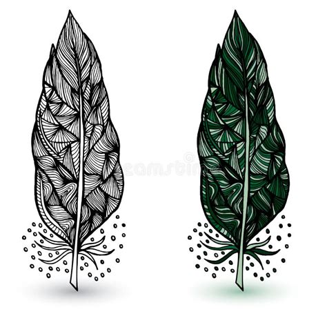Decorative Feathers Hand Drawn Vector Stock Vector Illustration Of