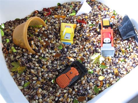 Games to help your preschoolers add some leaves, cornmeal and unpopped popcorn kernels to your sand table today! fall sensory table | Thanksgiving sensory, Thanksgiving ...