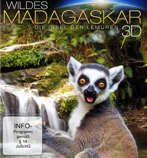 Meine madagaskar inselreise jetzt individuell gestalten. Wildes Madagaskar - Die Insel der Lemuren - Film