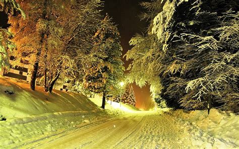 Nature Landscapes Roads Street Night Light Trees Winter Snow Seasons