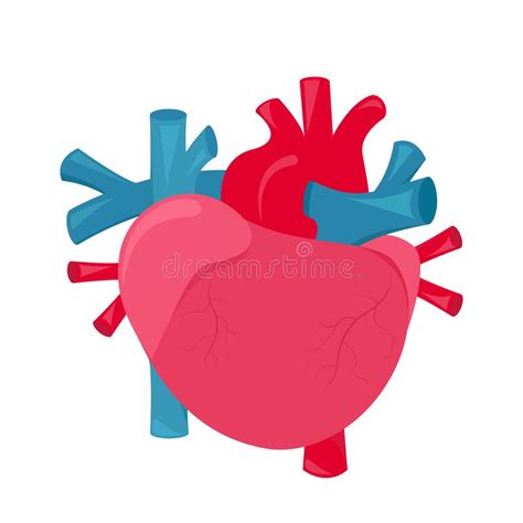 Human Heart Cartoon Vector Illustration Graphic Stock Illustration