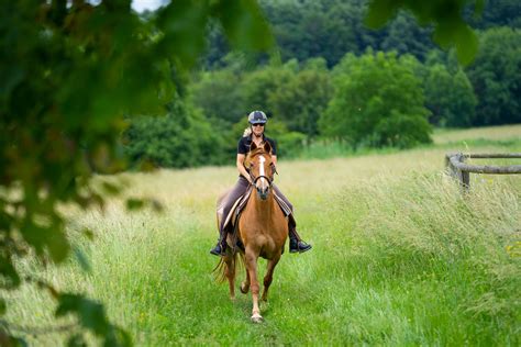 Planning Horse Riding Trails On Your Land Stable Management