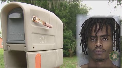 Get The F Out Of My House Ocala Homeowner Recounts Encounter With