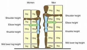 Manual Handling Lifting Diagram