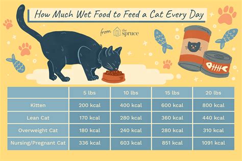 Remember to check the manufacturer's recommendations on how much to feed. How Much Wet Food to Feed a Cat Every Day