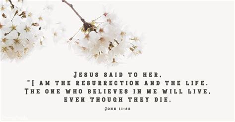 Your Daily Verse John 1125 Your Daily Verse
