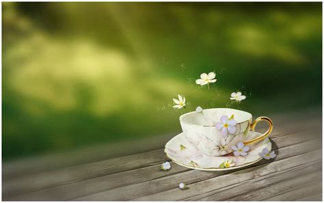 Flowers And Coffee Cup Hd Wallpaper 9hd Wallpapers
