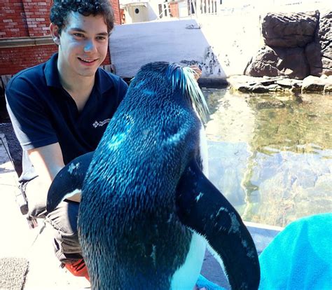 The Penguin Experience At Two Oceans Aquarium Cape Town Obligatory